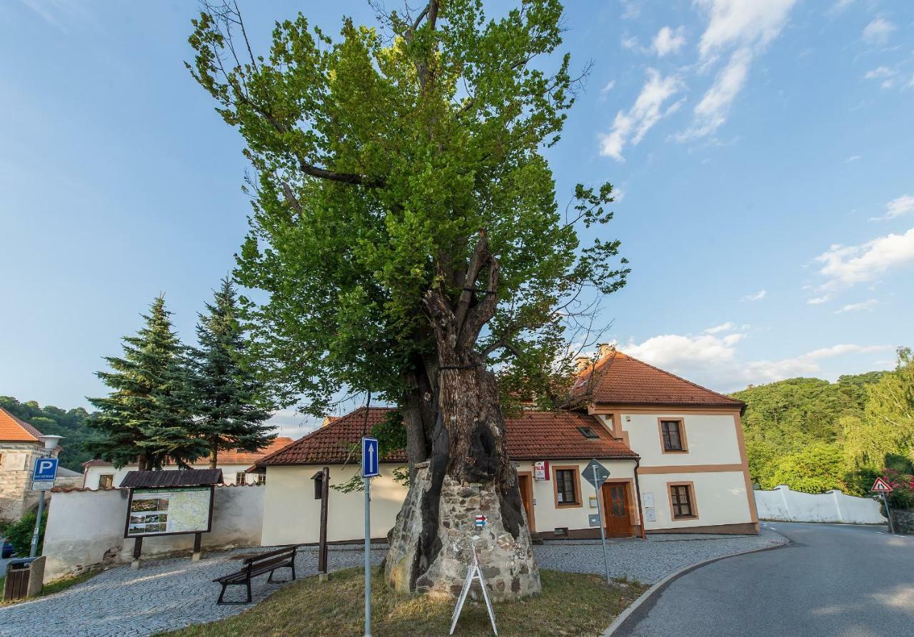 Penzion A Kemp Koruna Zlatá Koruna Zewnętrze zdjęcie